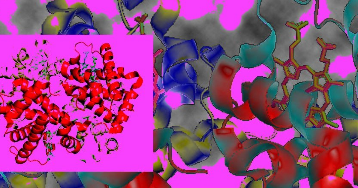 Генная терапия позволила пациентам с бета-талассемией отказаться от переливания эритроцитов