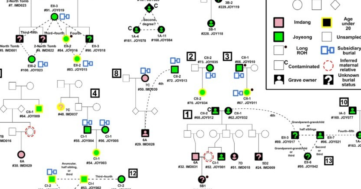 Древних корейцев уличили в кровосмешении