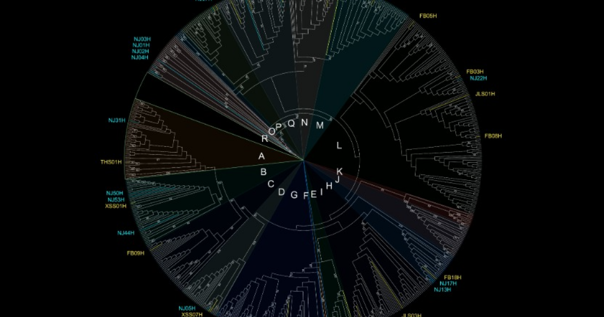 Домашние лошади попали в Китай не меньше 3500 лет назад