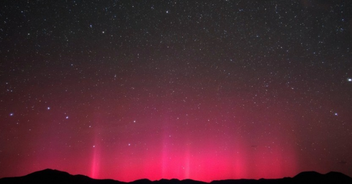 В древесине выявили следы солнечно-протонного шторма 800-летней давности