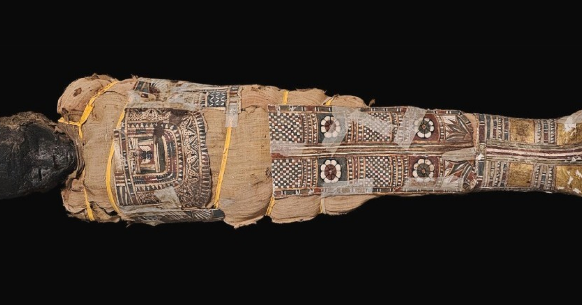 На картонаже египетской мумии разглядели изображение Нехебкау