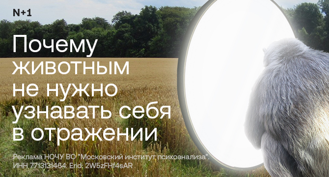 МИП — Самосознание без зеркала