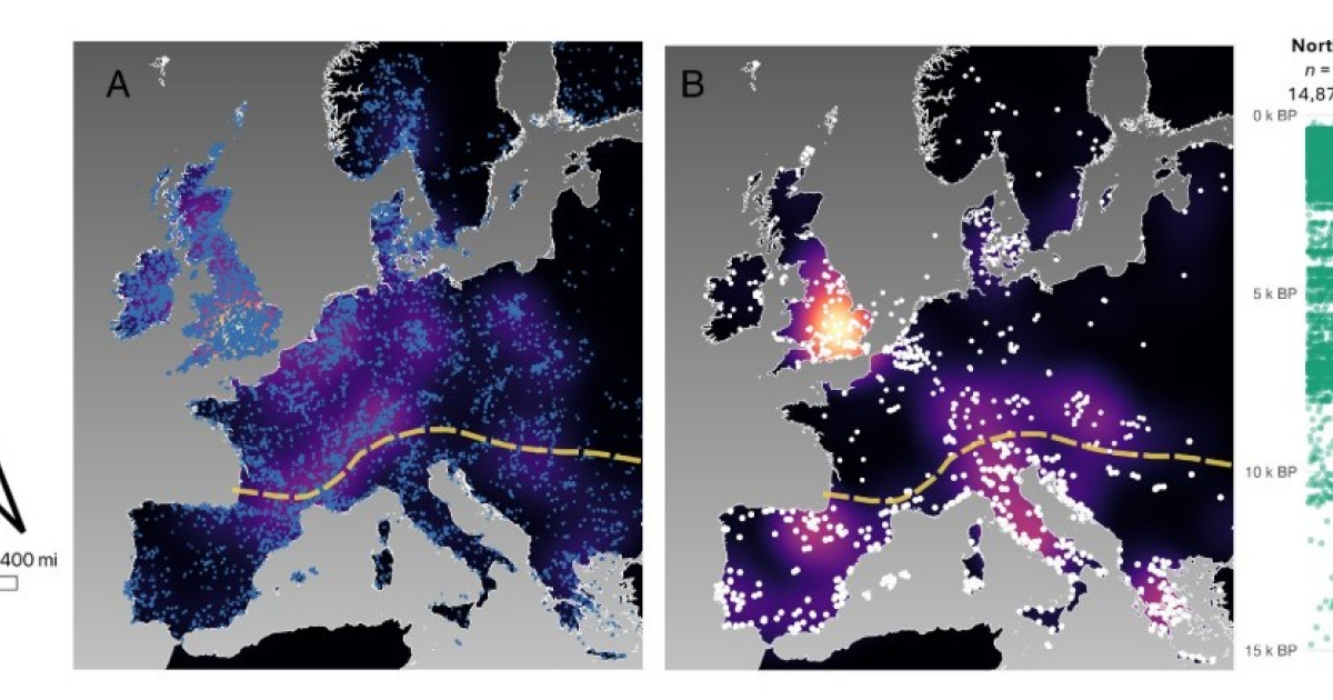 Неолитизация Европы привела к уменьшению роста людей