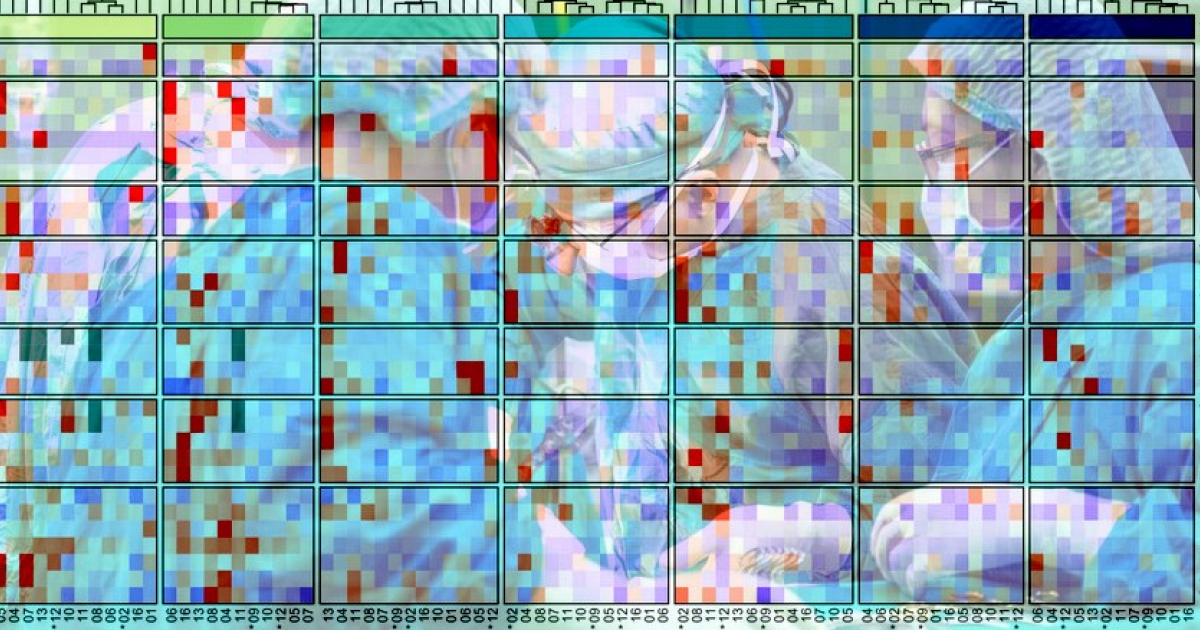 Донорские клетки помогли отменить иммуносупрессию после пересадки печени