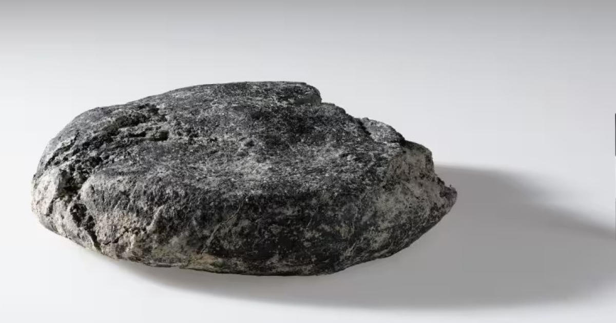 В римском военном лагере нашли 2000-летний хлеб