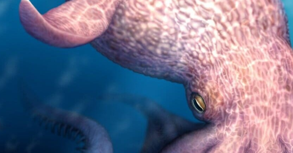 19-метрового осьминога назвали верховным хищником позднемеловых морей