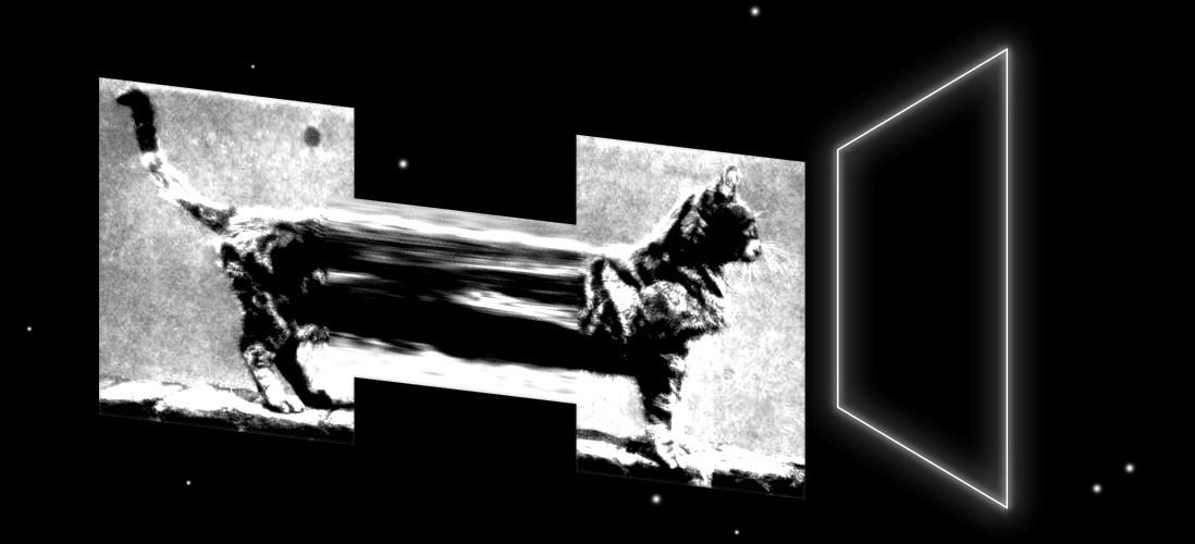 Отличить кота от зеркала