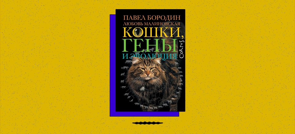 «Кошки, гены и эволюция»