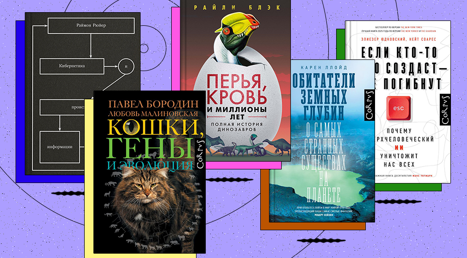 До нас, после нас и под нами