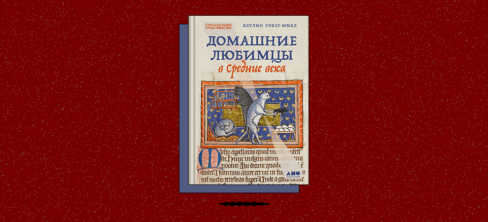 «Домашние любимцы в Средние века»