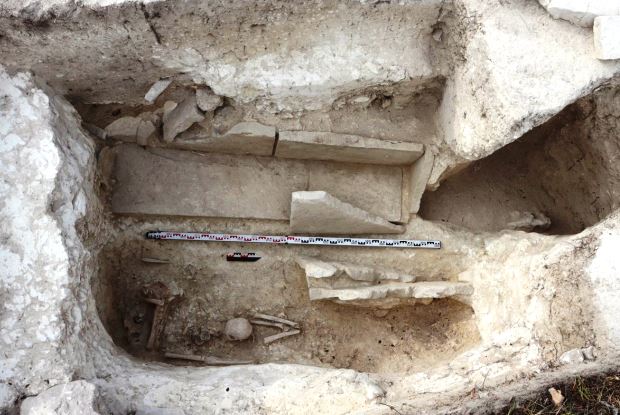 Semiz ayollarning katta eshaklari fotosuratlari