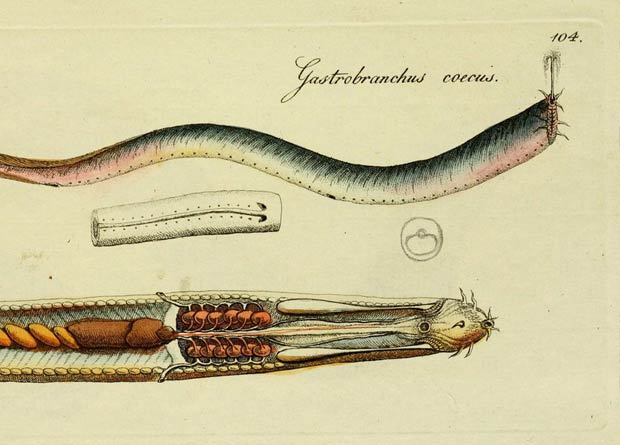 Тар джинсы киген сексуалды қыз