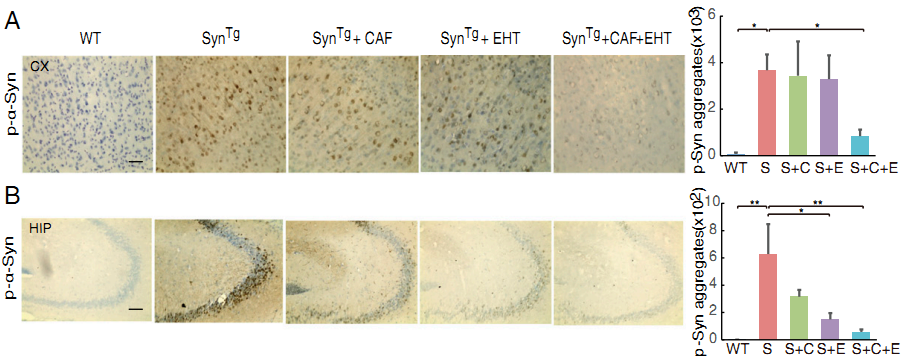 Кофе и риск Паркинсона