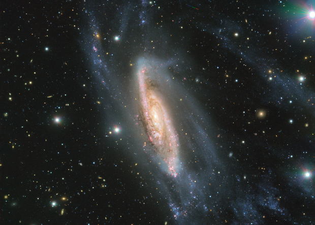 Әйел ер адамды қынаптың ұрығын жалауға мәжбүрлейді. Үлкен әтеш Кендра Люсттың аузына және есесіне еніп кетеді.