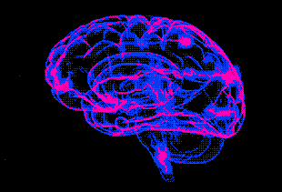 Мен фотоны ұйықтап жатқан әйелге қойдым