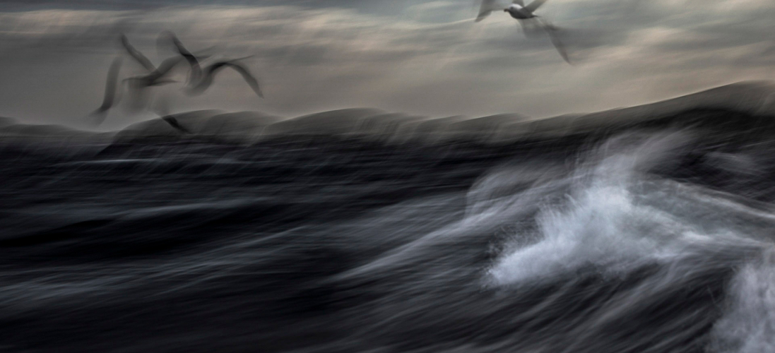 Yalangoch Strelnikova fotosurati