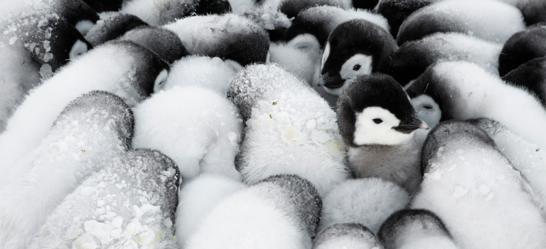 Орыс қожайынының порно аяқ киімдері