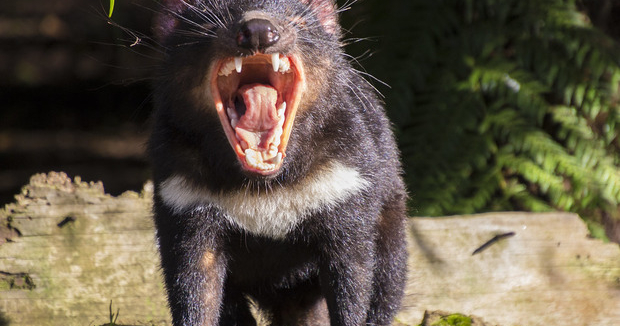 Katta ayollar Ufada jinsiy aloqa uchun porno qongiroq