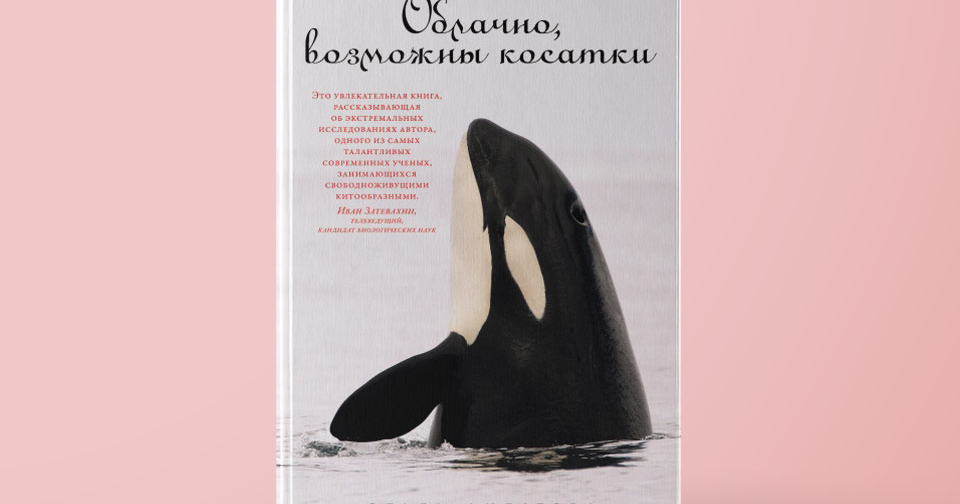 Касатка и малая косатка. Большая касатка. Аляска касатки. Кит-касатка. Возможны касатки.
