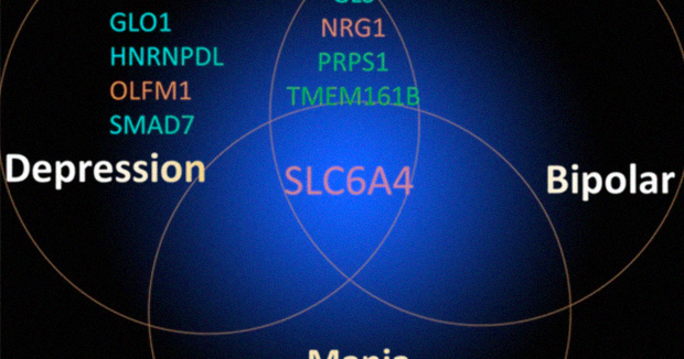 Депрессию и биполярное расстройство предложили диагностировать по ...