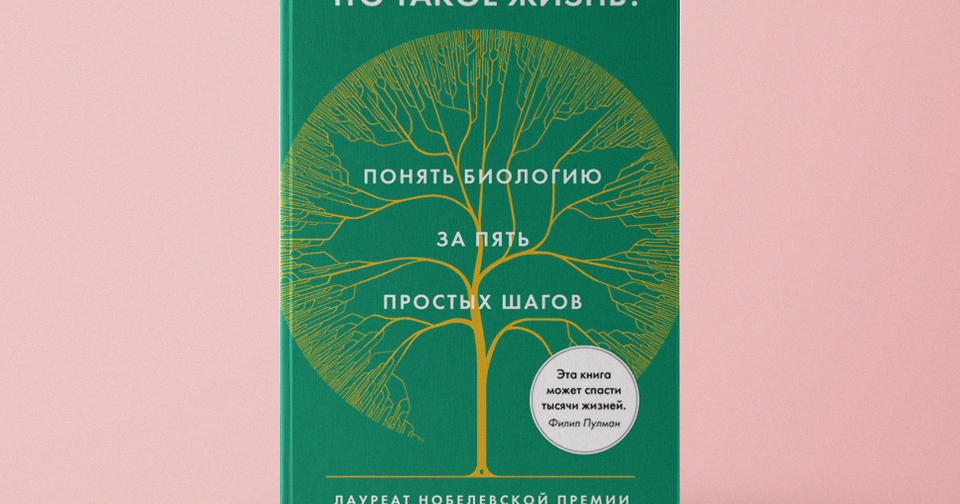 биологический и календарный возраст ребенка. биологический возраст и календарный возраст. понять биологический. критерии определения биологического возраста. пищевая и биологическая ценность белков.