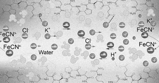 Желатин и соли железа помогут эффективно преобразовать тепло ...