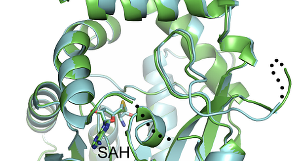 Ферменты освоили реакцию классической химии