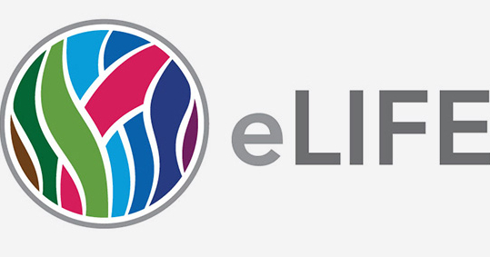 Бесплатный научный журнал eLife получит финансирование до 2022 года