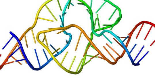 Химики объяснили появление ключевых компонент ДНК на ранней Земле