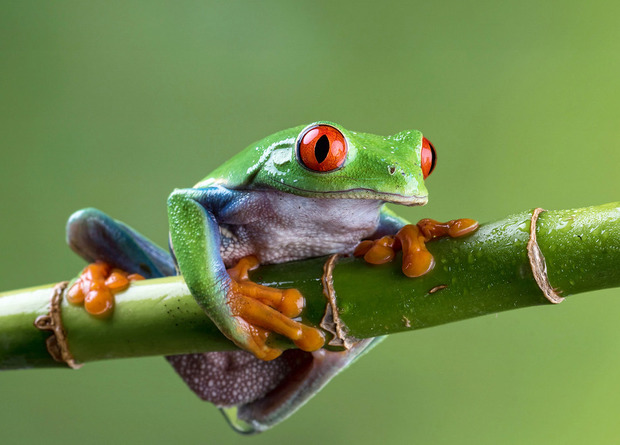 Сән көрсетілімінің сахна артындағы порно