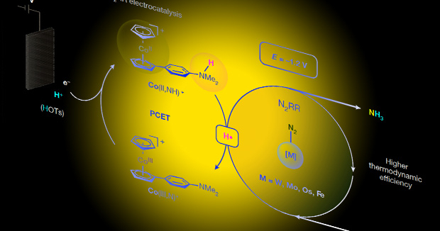 Металлоорганический сокатализатор помог получить аммиак электролизом