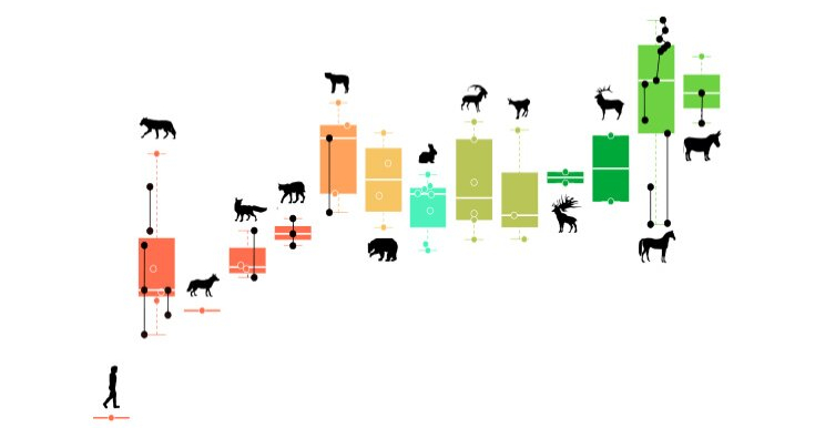 Изотопы цинка поместили иберийского неандертальца на вершину пищевой ...