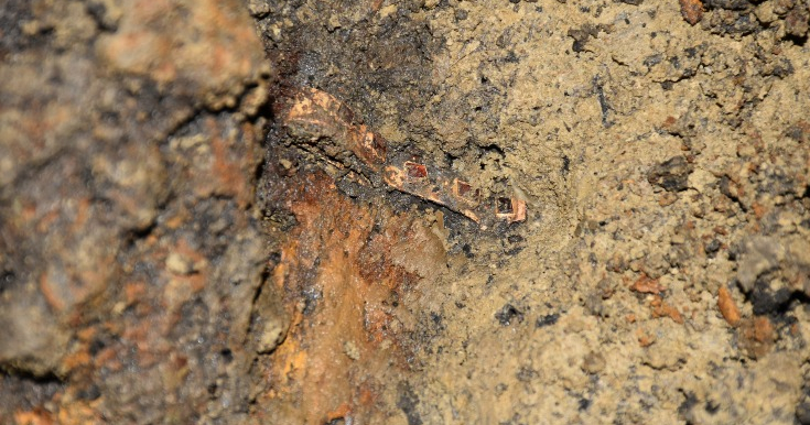 В Румынии обнаружили богатое погребение гуннского воина. В могиле V ...