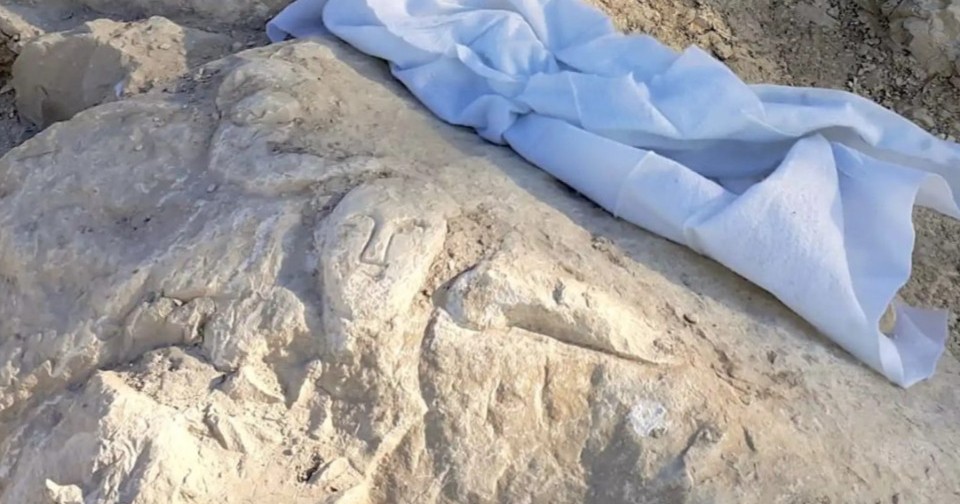 В древнеримском форте нашли рельеф с изображениями человеческого лица и ...