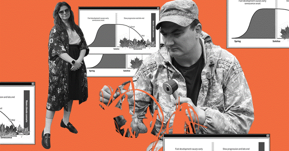 1с логотип. русификатор редактора. программист дизайнер. ольга добровидова. редактор и автор.