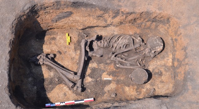 Палеогенетики построили генеалогическое древо южных уральцев из кургана бронзового века