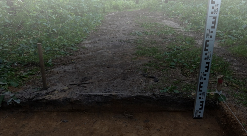 Археологи впервые обнаружили сухопутный участок пути «из варяг в греки»