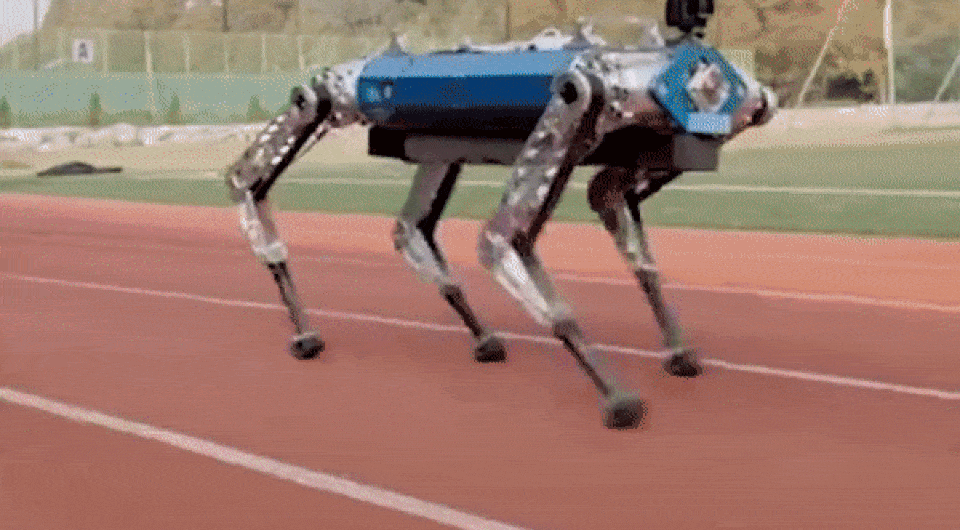 c36809ff694741c3e0a8fd2b3d8e8d9f.gif