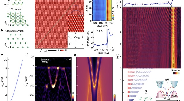 Физики обнаружили гибридное топологическое квантовое состояние в элементарном твердом теле