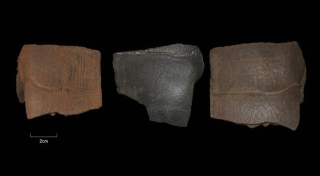 Людей каменного века заподозрили в питании живыми консервами из черепах