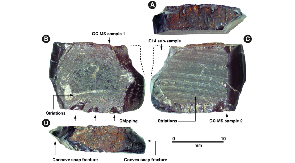 Әжесі немересінің ұрығын жұтады (порно онлайн көру)